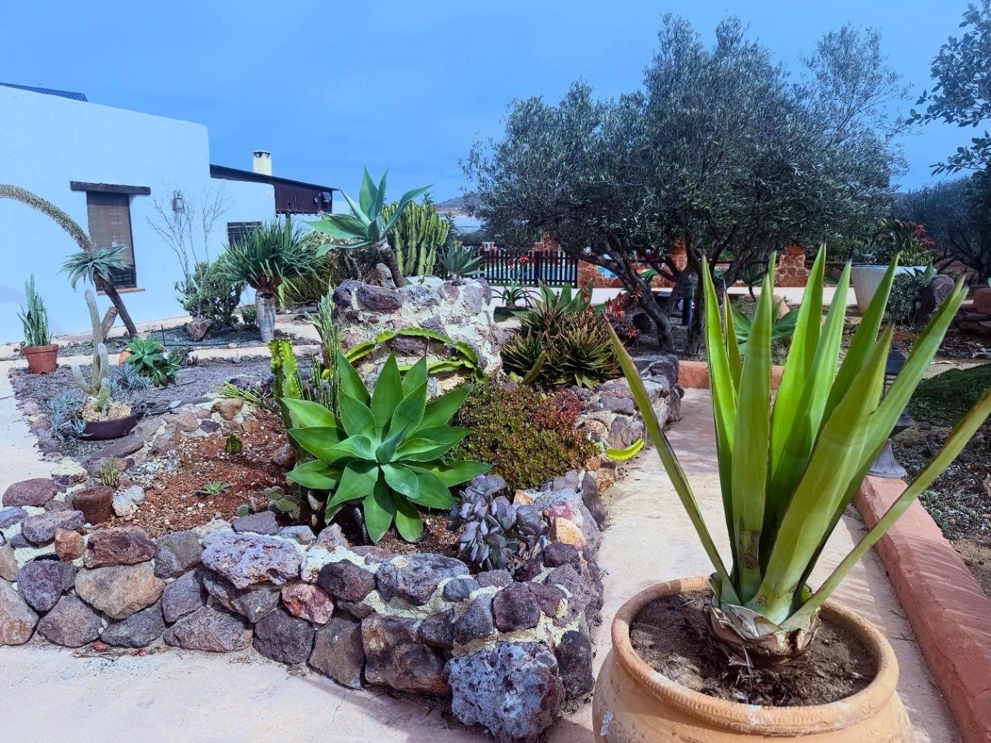 Olivares Rural Los Albaricoques Buitenkant foto