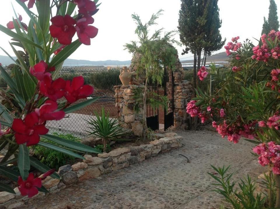 Olivares Rural Los Albaricoques Buitenkant foto