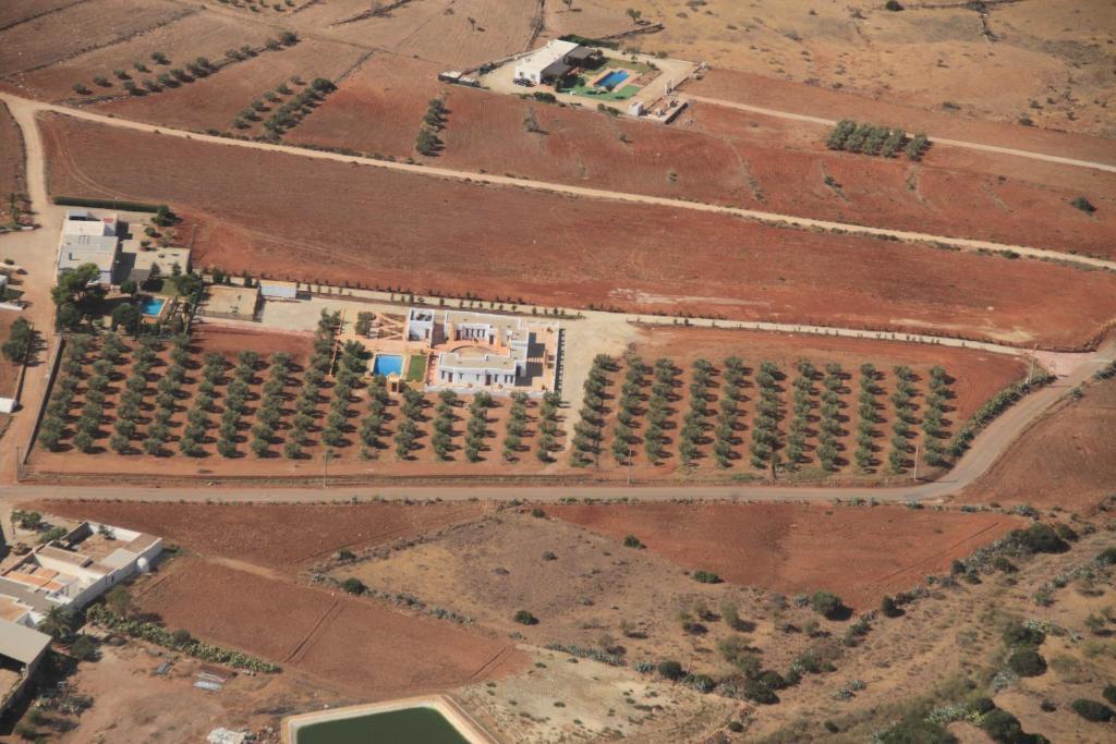 Olivares Rural Los Albaricoques Buitenkant foto