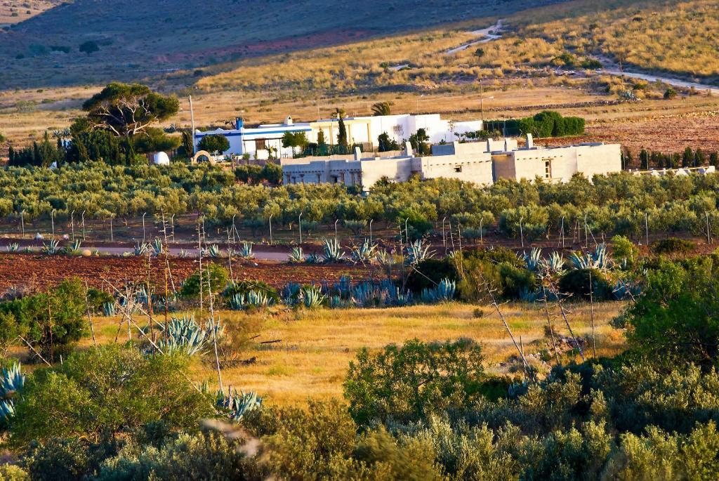 Olivares Rural Los Albaricoques Buitenkant foto
